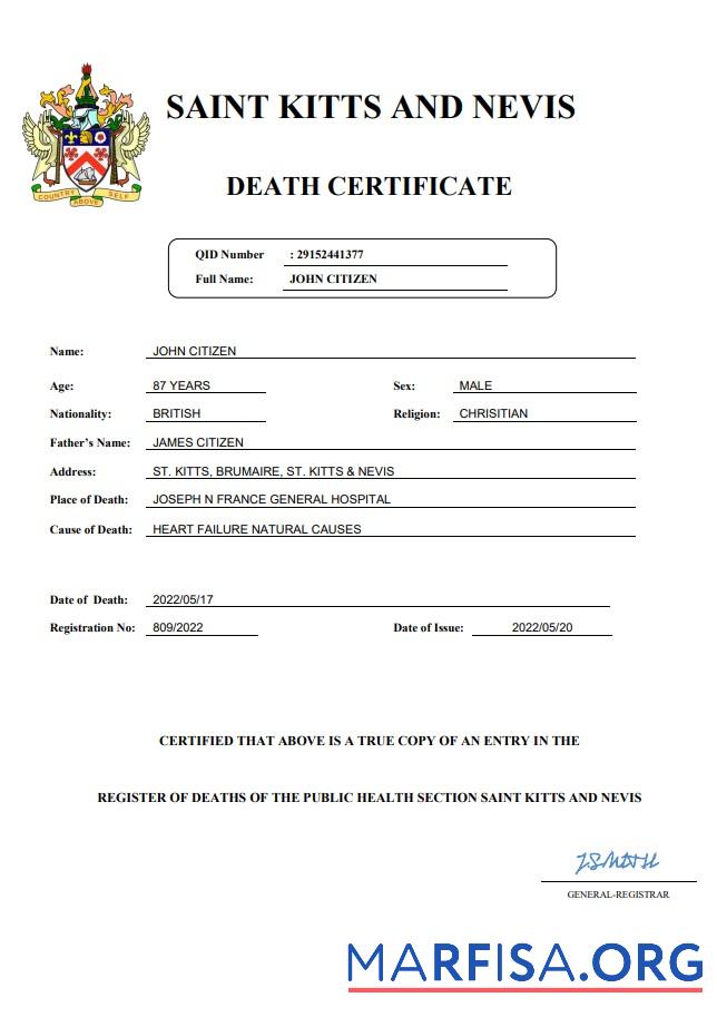 Printable Saint Kitts and Nevis vital record death certificate Word and PDF template